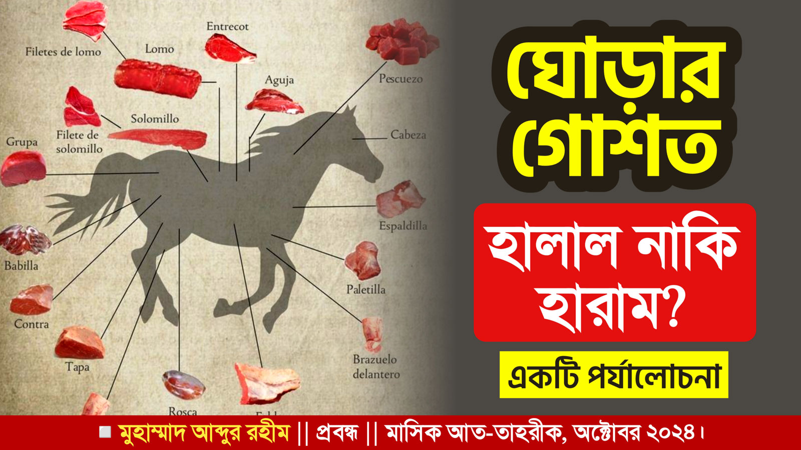 ঘোড়ার গোশত : হালাল নাকি হারাম? একটি পর্যালোচনা